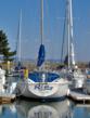 Bay Area Tradewinds Sailing School and Club Announces They Have Gone...